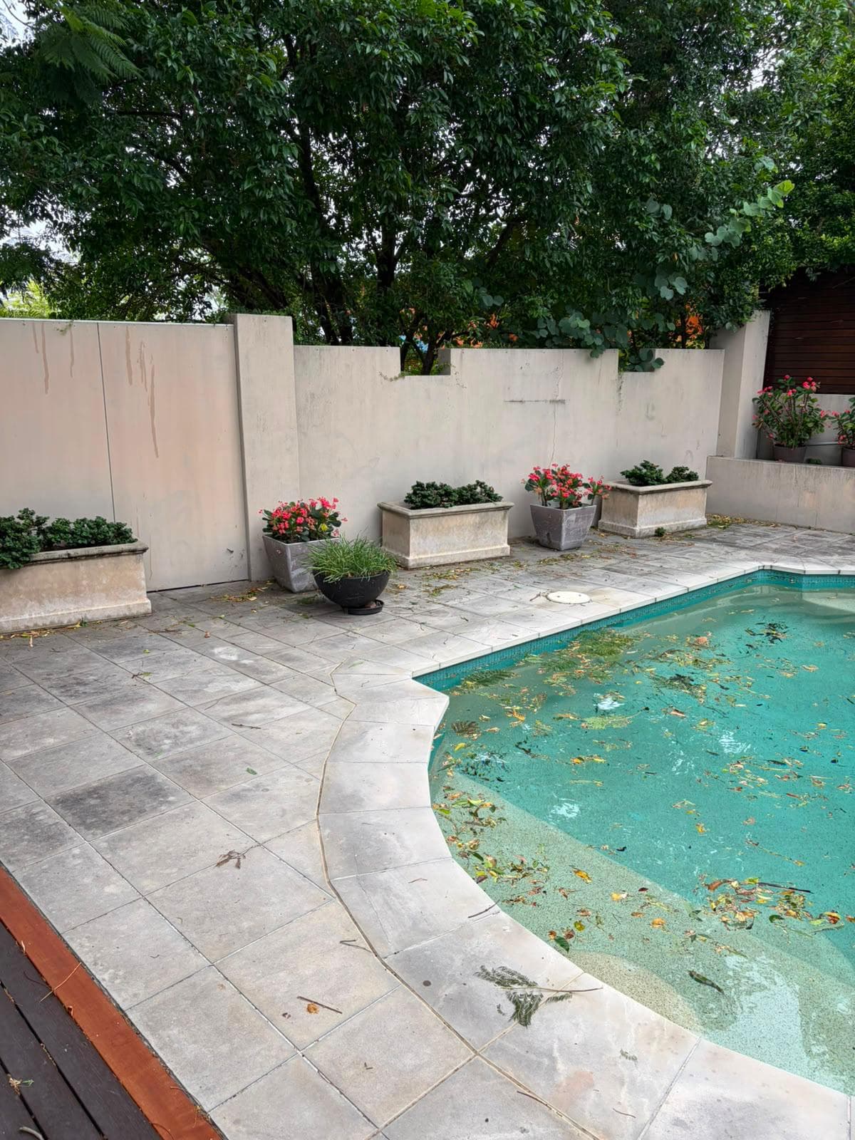 Pool deck after